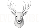 Evervibe